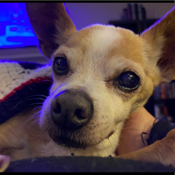 Meet your Posher, Christy - Picture 2 of 7